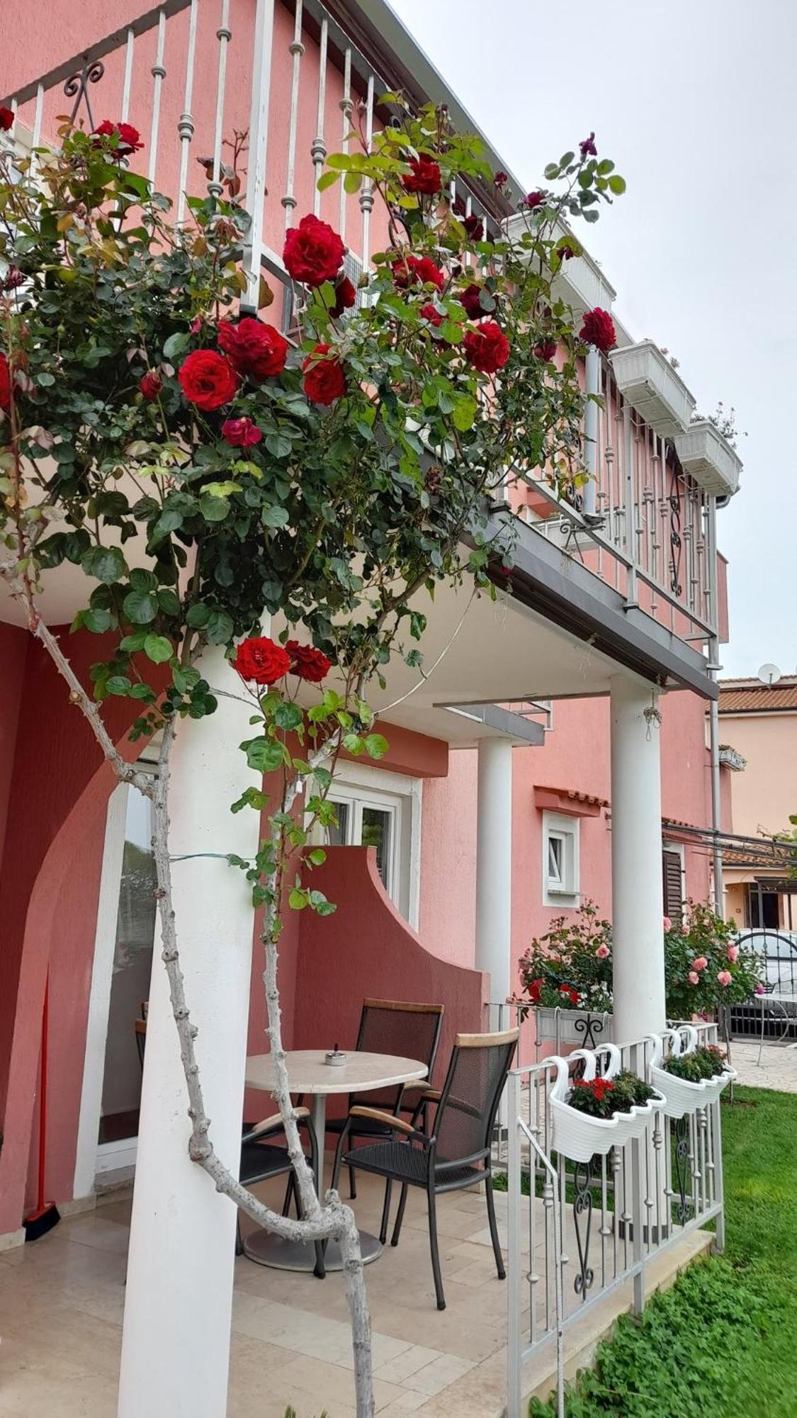 Apartments Dragica Porec Exterior photo
